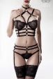 Lingerie sexy
